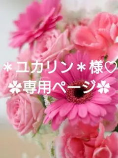 ＊ユカリン＊ プロフ確認願います様 リクエスト 2点 まとめ商品♡