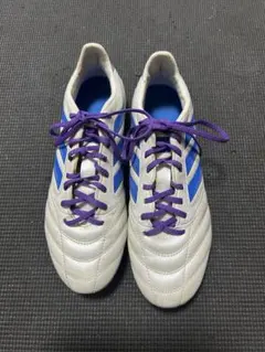 Item thumbnail for item e4e2bfc6-fb89-4385-96da-c371c61a6fdc