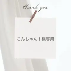 こんちゃん！様 リクエスト 2点 まとめ商品