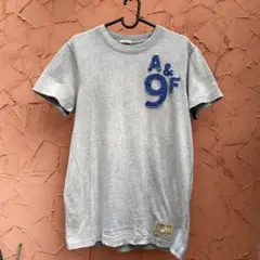 5店舗限定高級旗艦店全盛期新品ABERCROMBIE & FITCH Tシャツ