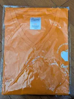 Item thumbnail for item e03be1e5-83b1-49e2-9f9a-2bd6295cc51f