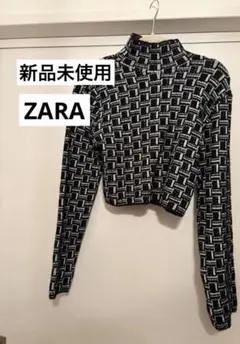 ZARA ザラ タートルショートニットトップス