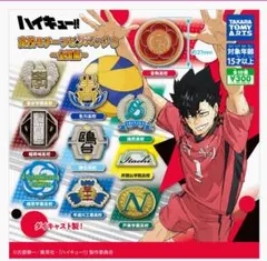 ハイキュー高校モチーフピンバッチ　コンプ　ガチャ