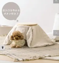 Item thumbnail for item 8518484f-b0f7-4a1e-959f-a21ef47f0b1e