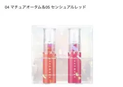 ウェイクメイク　デュイジェルグロウティントホリデーミニデュオセット01