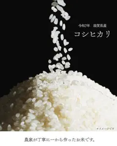 農家直送 令和7年度産コシヒカリ 白米30キロ 送料無料（一部地域除く） 農家直送 令和7年度産コシヒカリ 白米30キロ 送料無料（一部地域除く