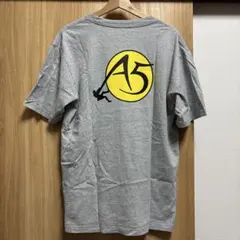 A5 初期　ゴールドウィン　Tシャツ　NORTH FACE オールド　アウトドアのサムネイル