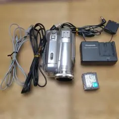 2026年最新】nv-gs300の人気アイテム - メルカリ