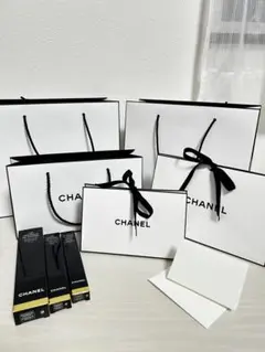【美品】CHANEL ショップ袋 大小セット
