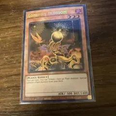【特価】遊戯王　英語版　ローンファイアブロッサム　シークレットレア　1st