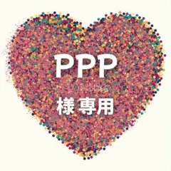 PPP 様　専用ページ
