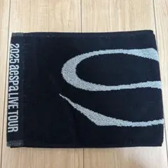 aespa SXNK aeXIS LINE in JAPAN マフラータオル