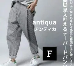 antiqua ストライプ テーパードパンツ Fサイズ
