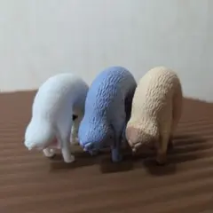猫ブリッジ2 3点セット