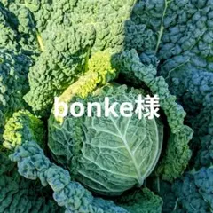 bonke様 専用