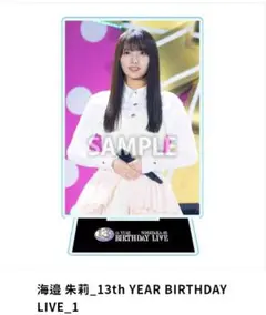 ち*む様 【海邉朱莉】乃木コレ アクリルスタンド 2025年LIVE PHOTO
