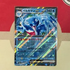 イルカマンex SAR スカーレット&バイオレット ハイクラスパック