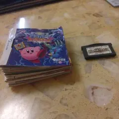 ニンテンドーDSカセットのトリセツ14点＋カセット(ワリオランドアドバンス)