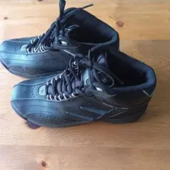 Item thumbnail for item 5d8b3c64-4c4c-41e9-ac4c-78521401acf4