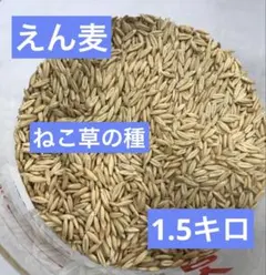 Item thumbnail for item f87bdd45-0b72-434f-ba88-57589a046027