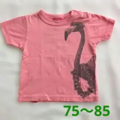 75〜85センチ　OJICO フラミンゴ Tシャツ ピンク　肩スナップ　半袖のサムネイル