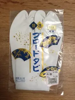 Item thumbnail for item 59d02728-8262-4d73-a91d-46fa40b79d22