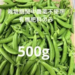 5/26収穫・発送】絹さやえんどう 500g 福島県産 - メルカリ
