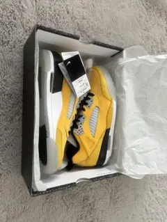 ジョーダン　スパイジーク　Low