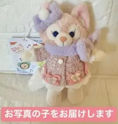 リーナベル シークレットオブスノーウィーデイ ぬいぐるみバッジ ディズニーシー④