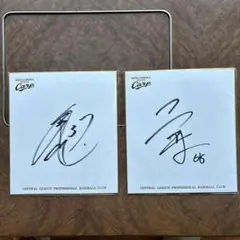 Item thumbnail for item cc80384e-e947-4d8d-a1ca-f2cfbb1d8aac