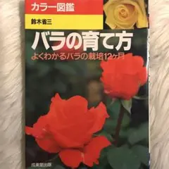 Item thumbnail for item aa451de9-b222-4fa7-bcfa-e8570b66ac48