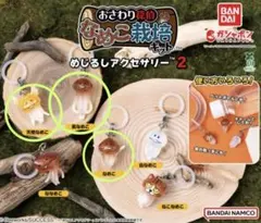 なめこ栽培キット 2 めじるしアクセサリー 3点セット