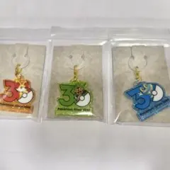 ポケモン 30周年 ポケチャーム 3種セット