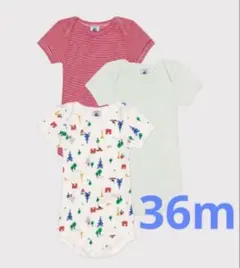 Item thumbnail for item f7d3f61c-628b-4535-a93a-7cbd61db6d01