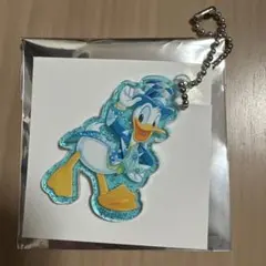 ドナルド ディズニーシー 25周年 アクリルチャーム アクキー ポテトスナック