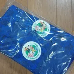 ディズニー　バケーションパッケージ　トートバック&チケットポーチ