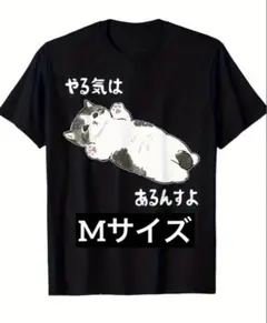 新品 やる気はあるんすよ Tシャツ Mサイズ おもしろTシャツ 猫 可愛い