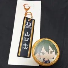 タイトーくじハイキュー F賞ふわふわ缶バッジ岩泉 G賞フライトタグ