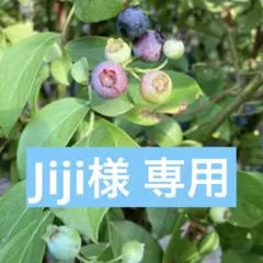 Jiji様 リクエスト 4点 まとめ商品