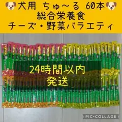 Item thumbnail for item 59658d8c-31ba-40dc-8c94-8bc44448dc16