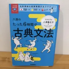 八澤のたった6時間で古典文法