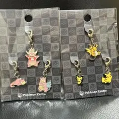 【ポケモンセンター】全国図鑑メタルチャーム ヤドン・ピカチュウのサムネイル