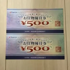 YAMADA HDGS. ヤマダ電機　お買物優待券 ¥500×2枚