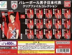 男子バレー　クリアファイル　ラリー選手のサムネイル