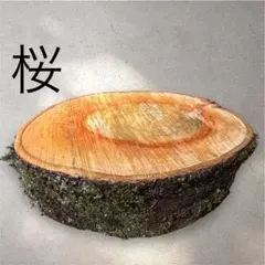벚꽃 배턴 스탠드, 나무 쪼개기 스탠드, 모닥불 스탠드, 캠핑 용품