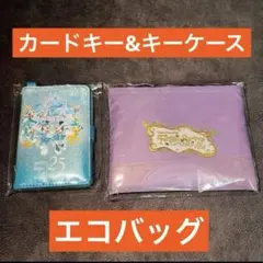 ディズニーシー25周年ファンタジースプリングスカードキー＆キーケース、エコバッグ