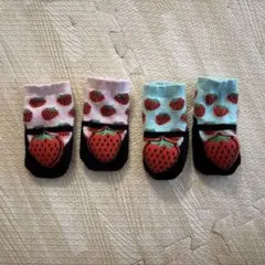 WADDLE 足を振るとガラガラの音がするいちご柄ベビー靴下 4足セット
