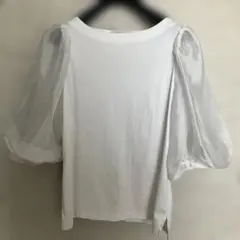 セルフォード　シアースリーブコンビカットソー