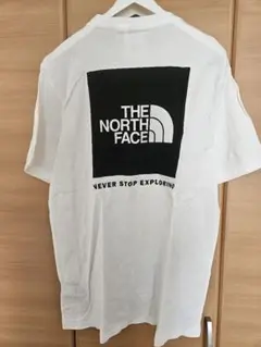 【ノースフェイス】Tシャツ Lサイズ THE NORTH FACEバックプリント