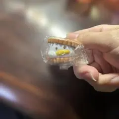 サンリオキャラクターズ　ふにゅっとスモアサンド　あひるのペックル